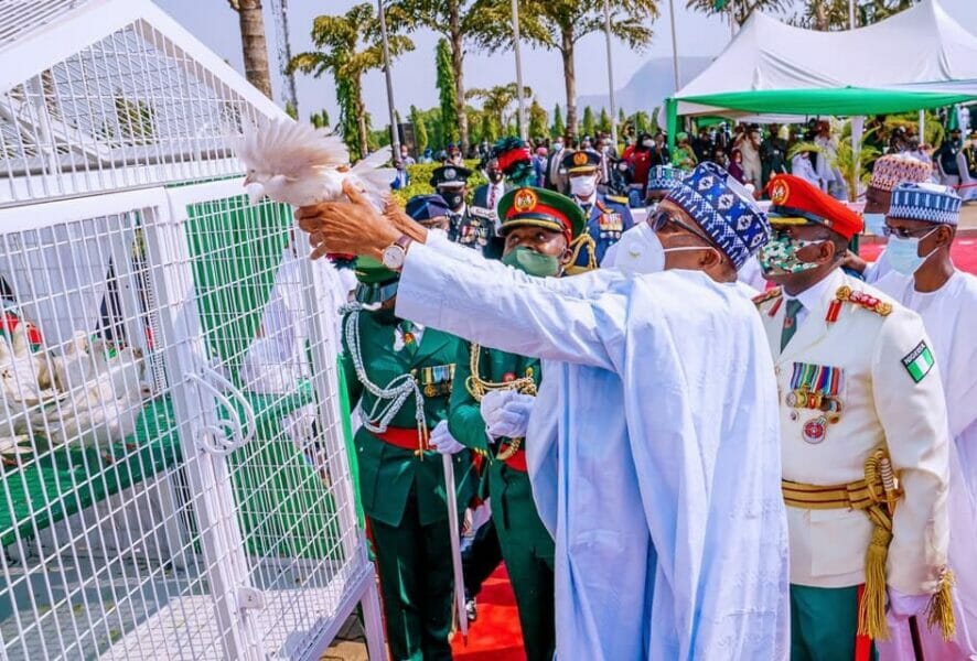 Pigeons released by Buhari refuse to fly