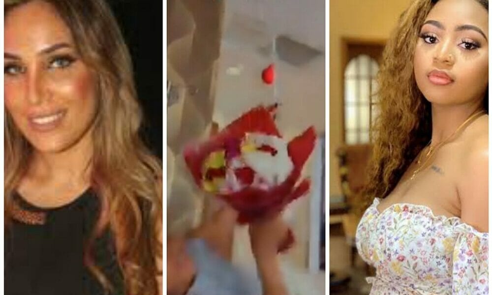 IMG 20042021 222142 1024 x 630 pixel