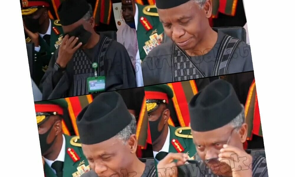 IMG 23052021 152552 1000 x 600 pixel