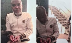 IMG 29062021 152654 1000 x 600 pixel