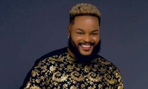 IMG 11082021 154630 1024 x 601 pixel