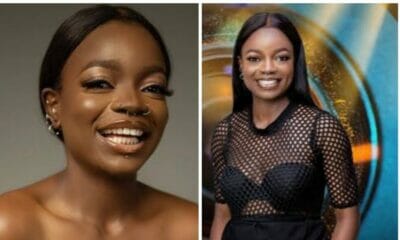 IMG 15082021 194345 1024 x 601 pixel