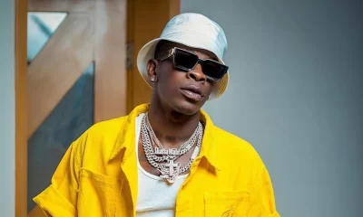 IMG 18102021 220144 1024 x 601 pixel