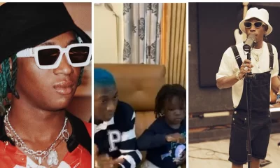 IMG 24102021 151245 1024 x 601 pixel