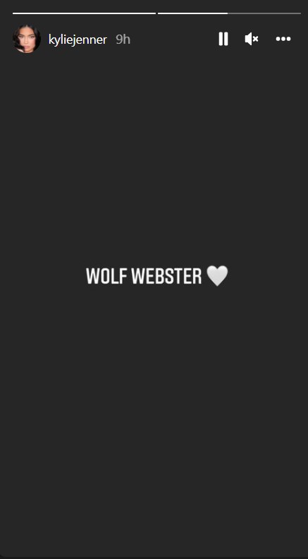 Wolf Webster