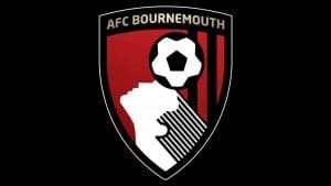 Bournemouth promoted to Premier League