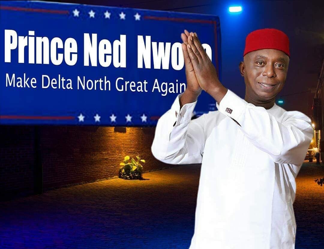 Ned Nwoko 