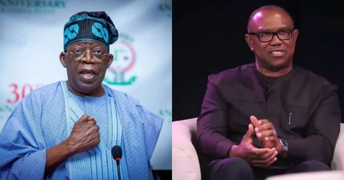 PDP wants Tinubu and Peter Obi to be disqualified